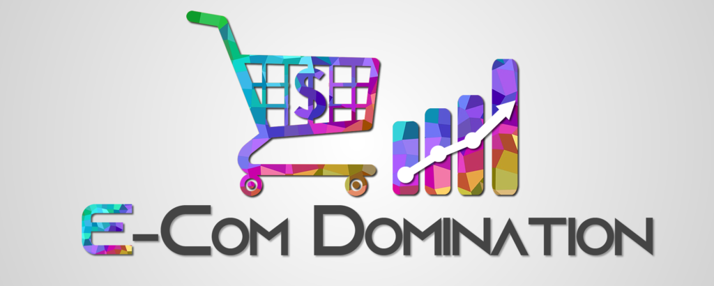 E-com Domination E-commerce Training