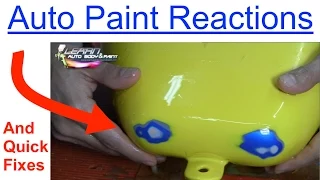 How To Fix Automotive Paint Reactions