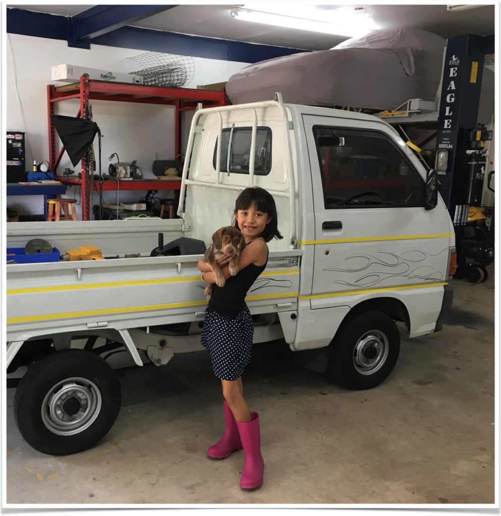 Daihatsu Mini Truck Project