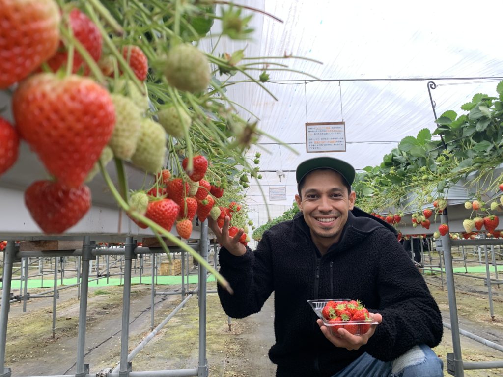 Explaining Single Stage VS TwoStage Paint Auto Body Q&A